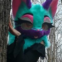 split.studios_tiktok