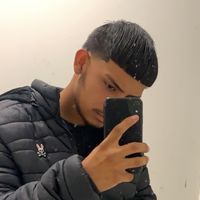 verdinlsx2