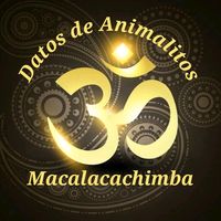 macalacachimba11