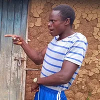 original sound - lucidodhis