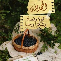 stikstakmajdoub