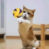 volley_house_na