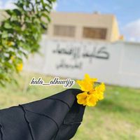 hala_al_99