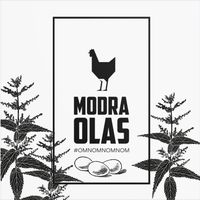 modra.olas