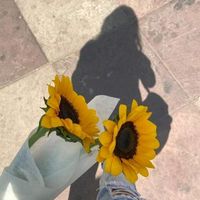 _yessy_1406