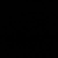didielwavi8