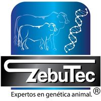 zebutecbiotech