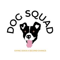 dogsquadsc
