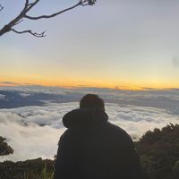 kentpetercuadrado