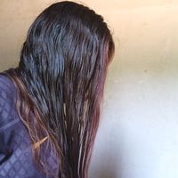 sofiahonoratodeoliveira0