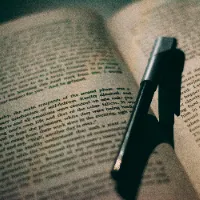 original sound - timeless_wisdom592