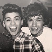 zaynfever