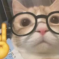 original sound - vxximal