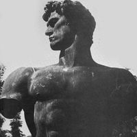swolematthew
