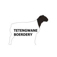 tetengwaneboerdery