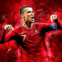nz_tk_11