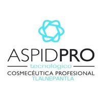 tecnologico.aspidtlalne