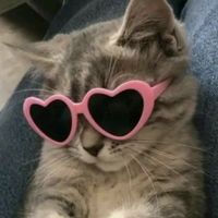 leslie_jen