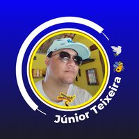 juniorteixeira.s