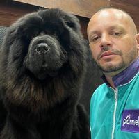 nilsonzaparolichowchow