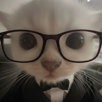 edualdo_the_pretty_boy