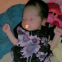 elviracheasig