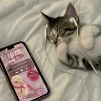 original sound - .mwalyrics