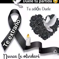 nilsamedina1