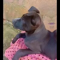 mariana.de.souza81