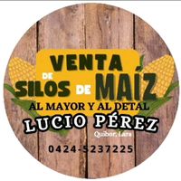lucioperez26102
