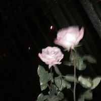 about_him19