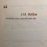 orijinal ses