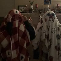 blanketdancers055