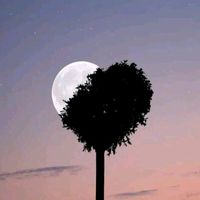 brayan_yujra1