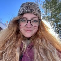 elfbarfaerie