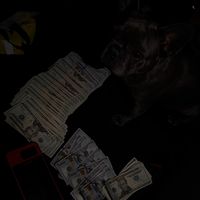 __bg31o