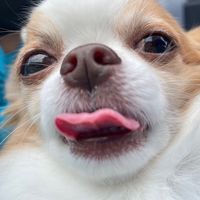 เสียงต้นฉบับ - Chonticha_Aa