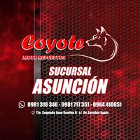 coyotemotorepuestos