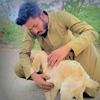 saeedbrohi81