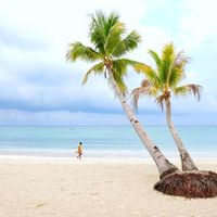 original sound - soft heart