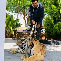 الصوت الأصلي