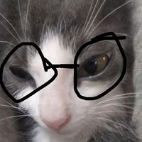 gioelpro54
