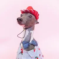 original sound - winstonwants