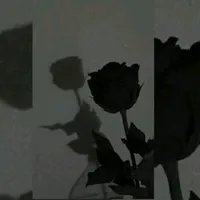 original sound - aby.sad19