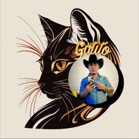 gatito.lpez1
