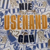 fussballclub__zvrich