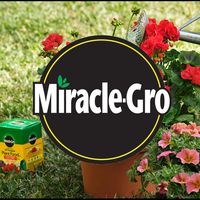 miraclegro