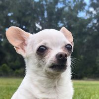 chaquita.bonita