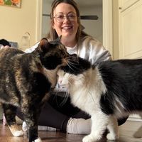 themississippiswiftie