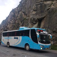 mejia0888